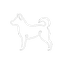 Perro