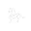 Caballo