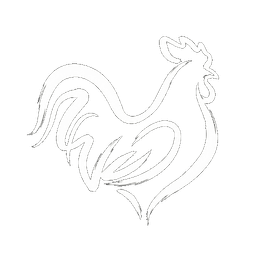 Rooster — The Proud Performer